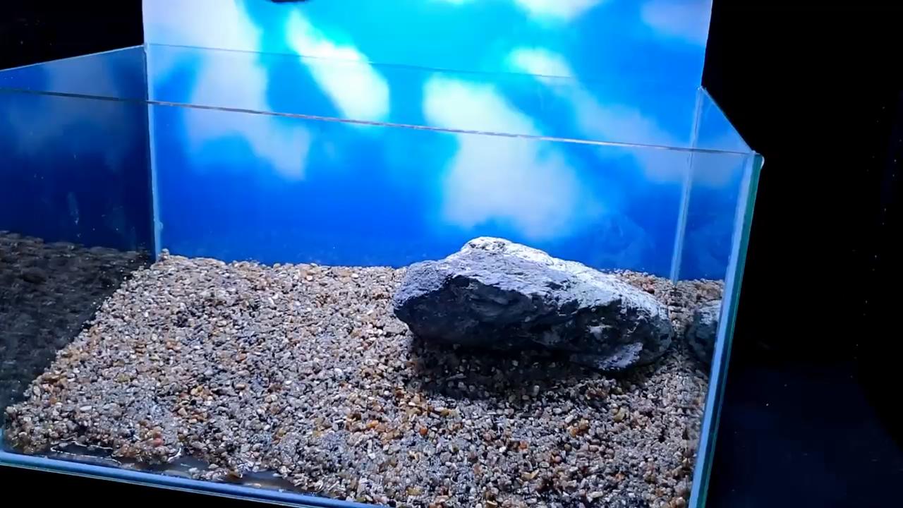 石头观赏鱼缸建造图,4块石头造景20缸