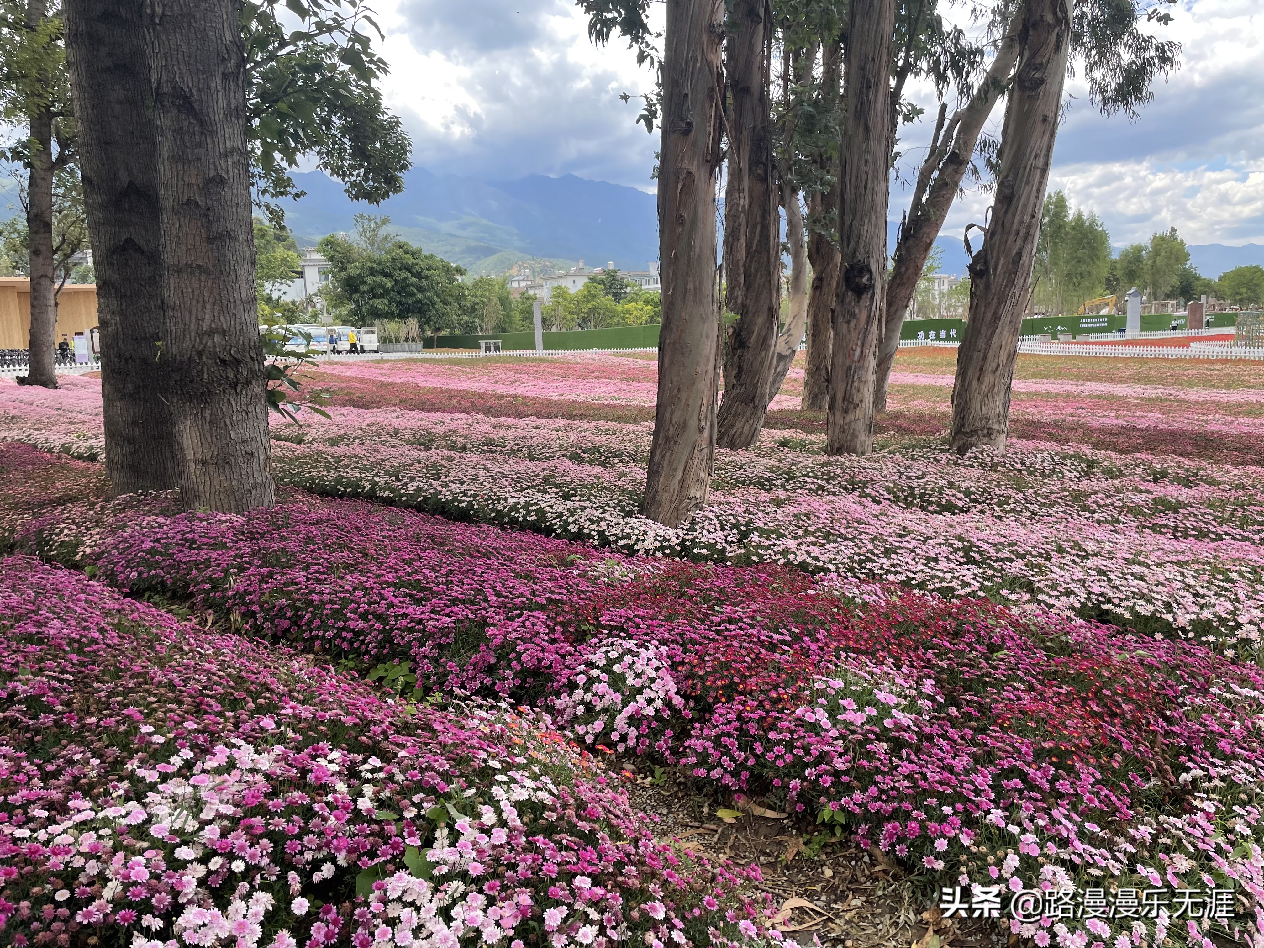 大理洱海8个打卡地,大理洱海畔旅游攻略