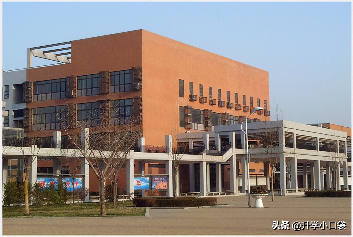 第38届全国中学生数学竞赛排名,河南高中数学联赛一等奖人数