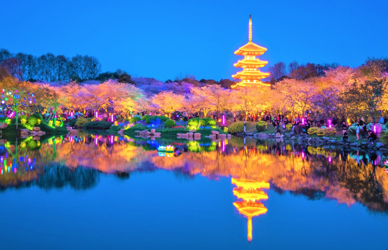 鎭掑ぇ鍏泭娲诲姩,鎭掑ぇ閰掑簵鍖绘姢棰勭害