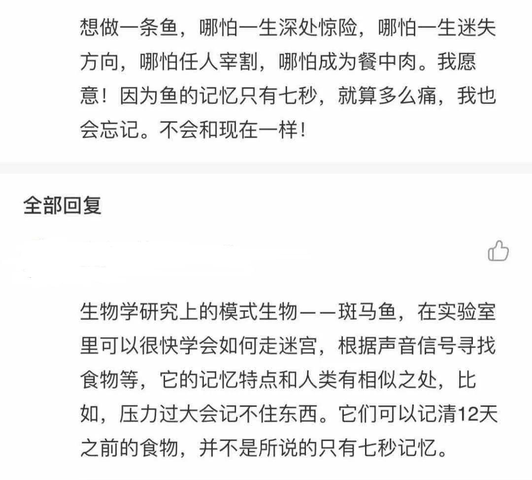 “评论失控”的网易云音乐，“歌以传情”的社交路还能走多远？