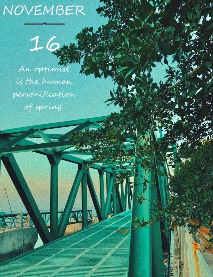 春节厦门自由行5日游攻略,春节厦门自由行攻略亲子省钱