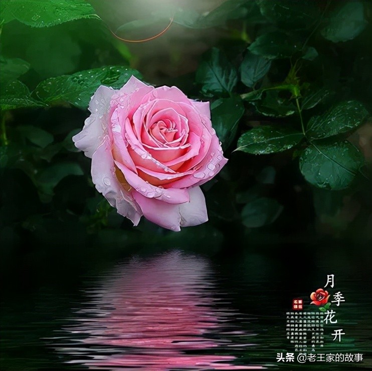 与人交谈的三大忠告,交谈的禁忌行为