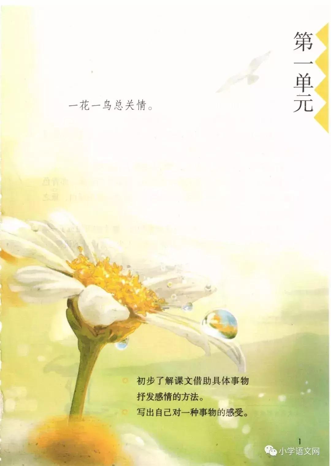 2020版部编版五年级上册语文目录,部编版语文五年级上册教材电子版