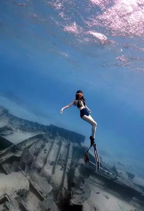 帕劳自由潜水完整视频,帕劳自由潜水玩法