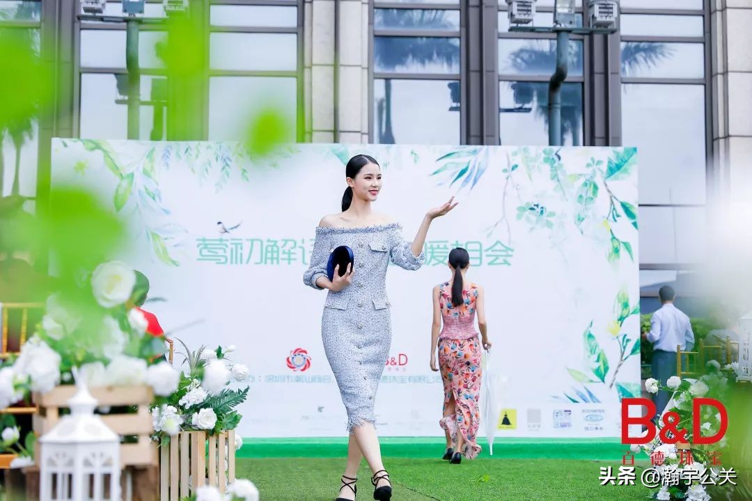 史上最精彩的综艺节目,最有创意节目