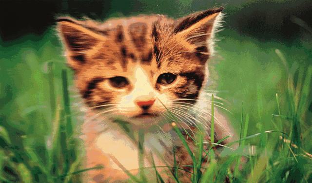 一只眼睛近视该怎么办？该不该戴眼镜？听听专家怎么说