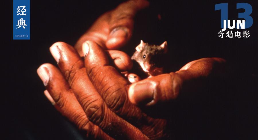 豆瓣这才是真正的经典神作,豆瓣8.8经典