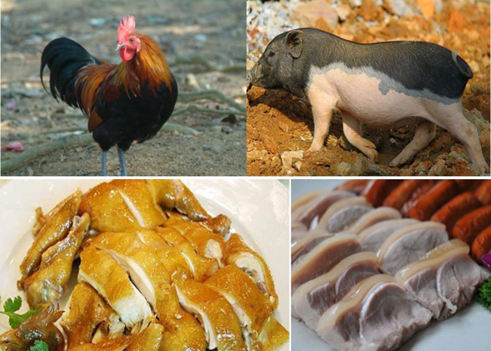 昌江梨花里视频完整版 (昌江王下乡黎花里自驾游攻略)