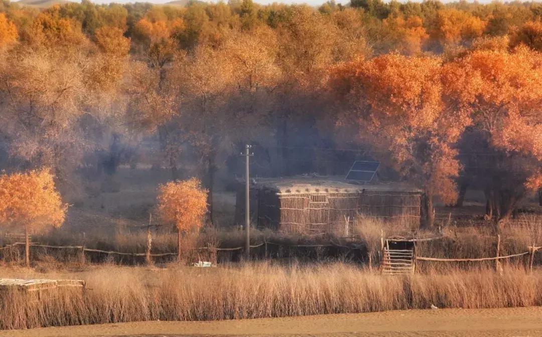新疆于田沙漠无人区,新疆于田沙漠最后村庄