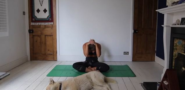 坐着抬臀锻炼,坐着抬腿锻炼多少次才有效果