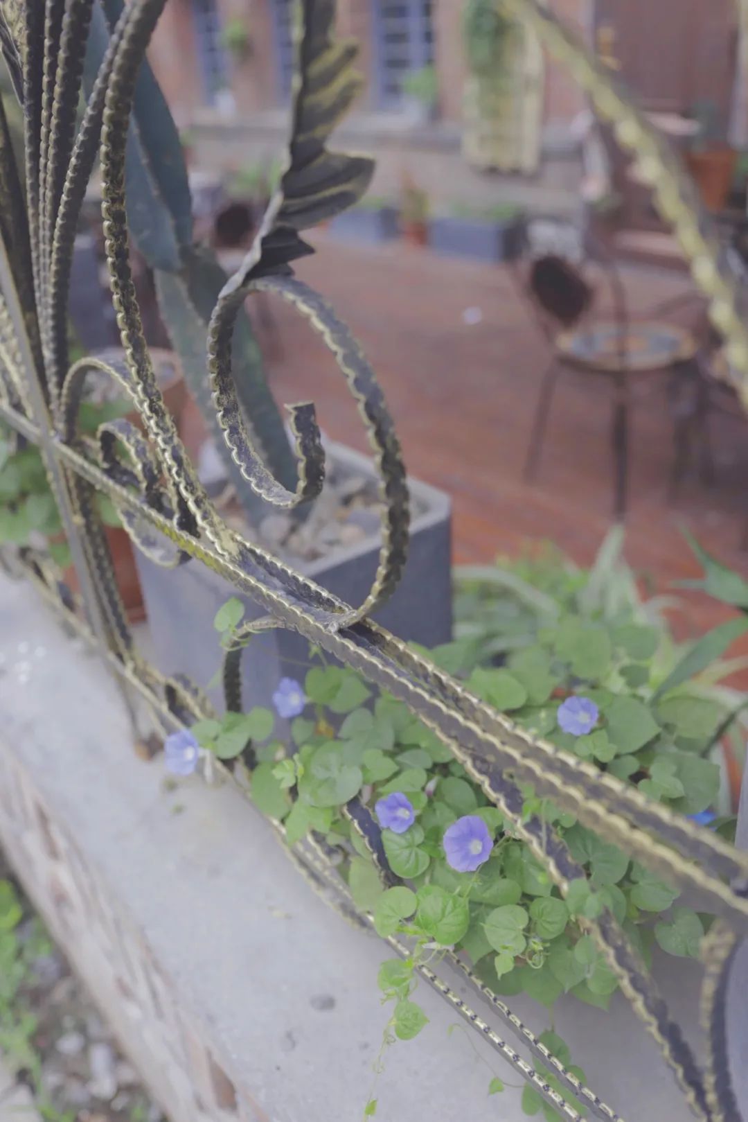 烟台山秋游,烟台夏夜的烟台山