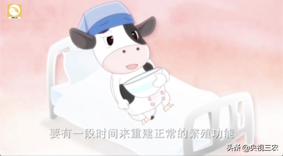 牛粪别扔，这么处理还有国家补贴