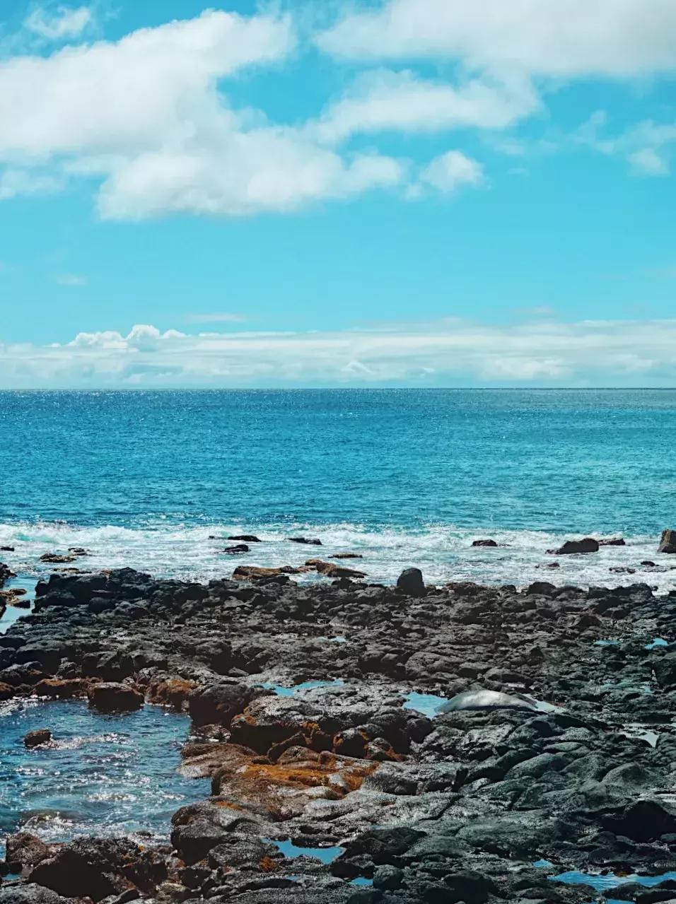 在吸引村上春树买房养老的海岛呆3天，马代帕劳在我心里降到第二