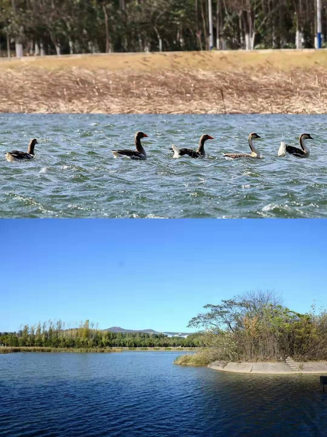 平顶山这座城市到底怎样,平顶山区域中心城市