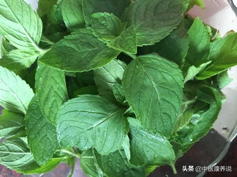 药食同源目录大全集,药食同源二十八课