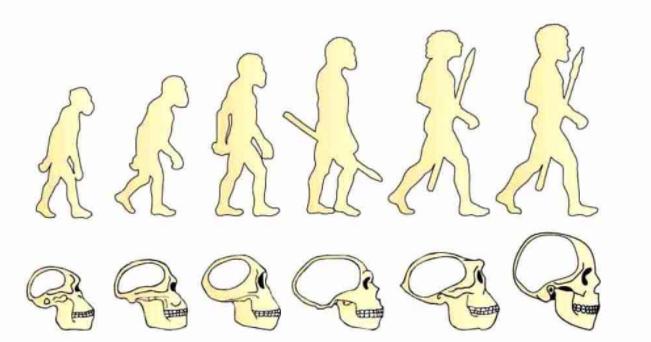 达尔文生物进化论提出的过程,达尔文进化论和拉马克的区别