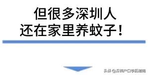 登革热夺走20多条生命,登革热是典型的儿童疾病吗