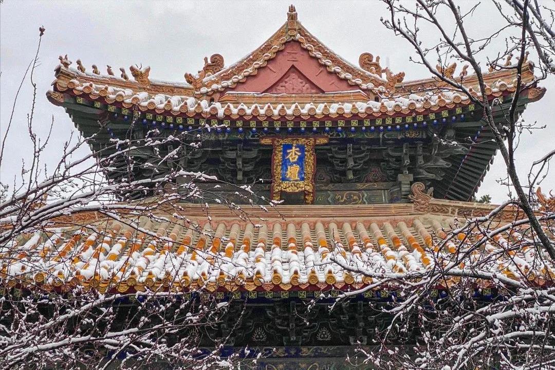 三孔旅游攻略,曲阜三孔旅游攻略半日游最佳路线