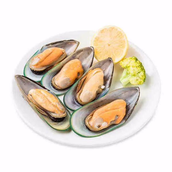 提高抵抗力的宠物食品,增加宠物抵抗力吃什么食物