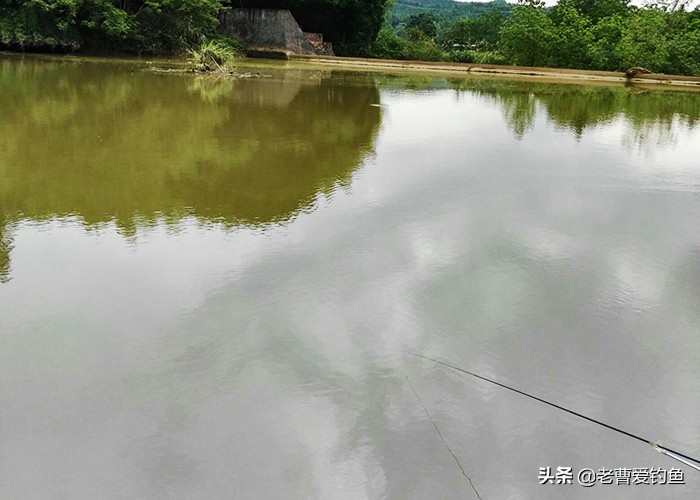 钓鱼秘诀分享给钓友们,总结一下这些年来的钓鱼心得
