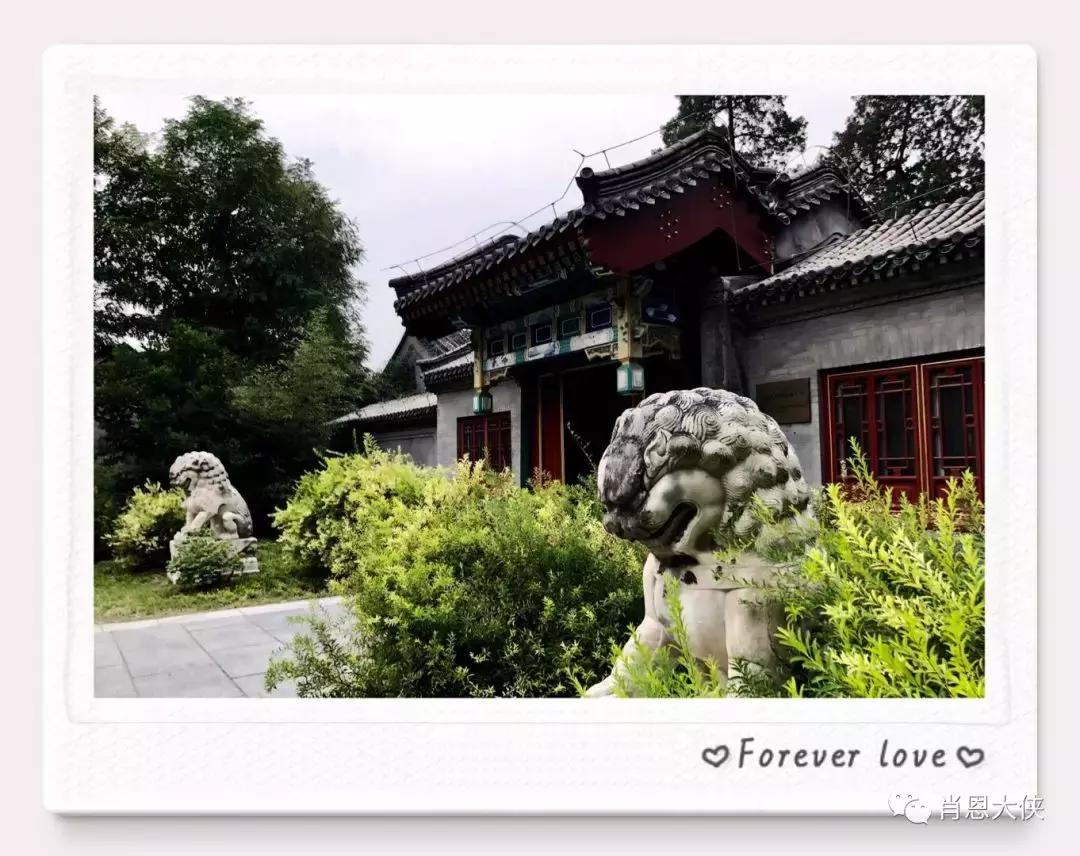 一个非典型的投资人的崛起,非典型投资者的感受