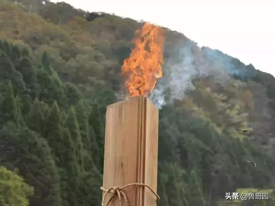 日本杉板制作全过程,烧杉板可以用哪些木材制作