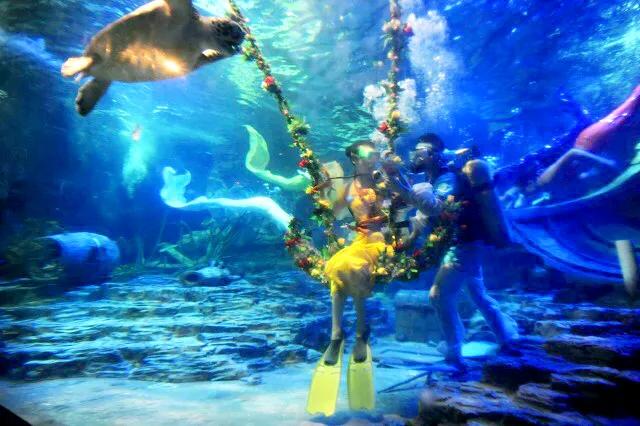 带你们看一下神奇的海底世界,高清60帧海底世界