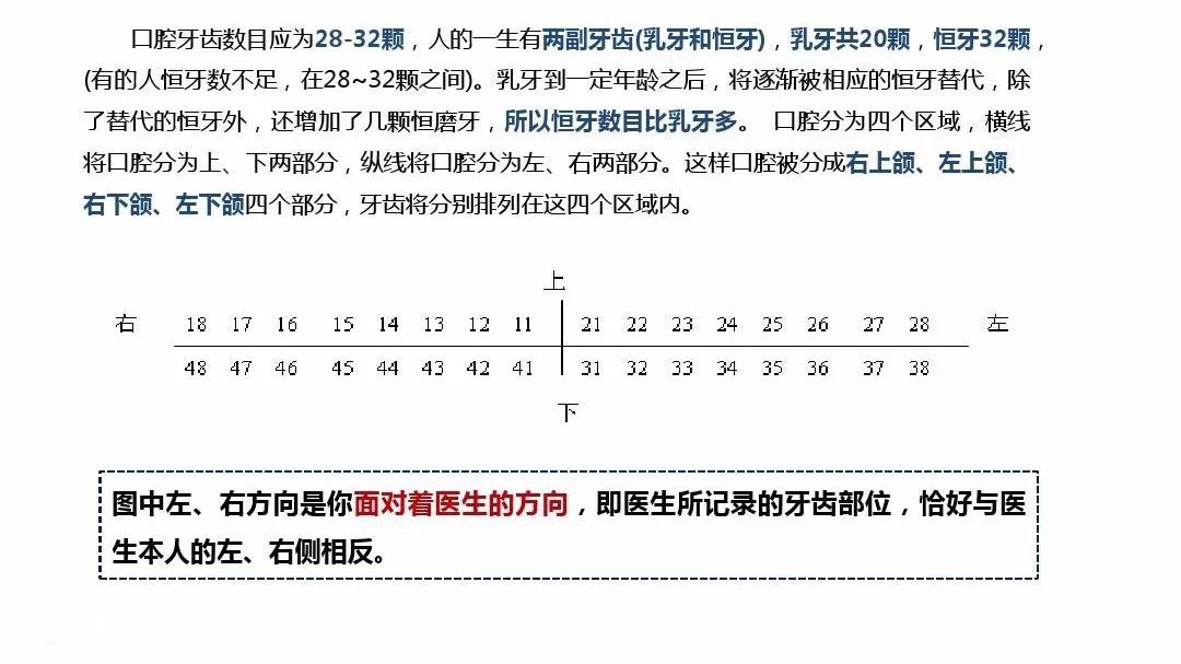 虎牙齿拔不掉怎么办,牙虎