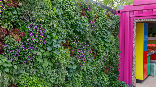 切尔西花展举办,2020年切尔西花展抢先看