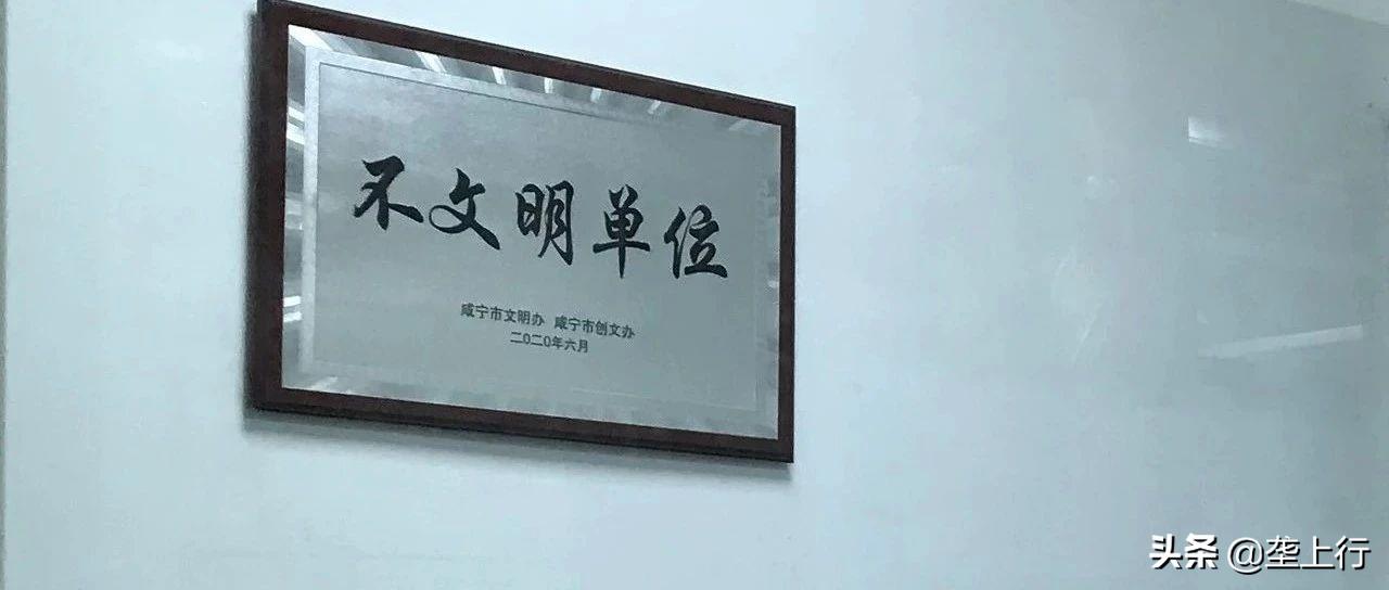 单位被挂上不文明牌,咸宁市不文明单位