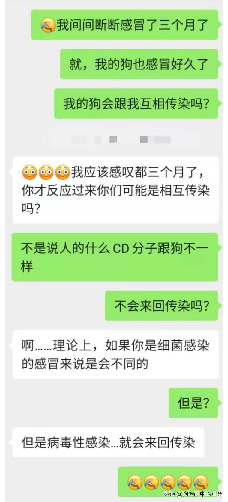 狗狗感冒好了没几天又感冒了,狗狗感冒好了之后还是没精神