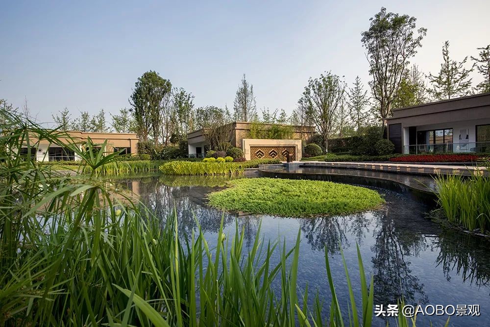 纵横于繁华，浅隐于自然|宜宾邦泰天誉