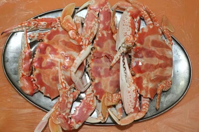 三亚自由行旅游攻略超详细哦,三亚旅游自由行全攻略