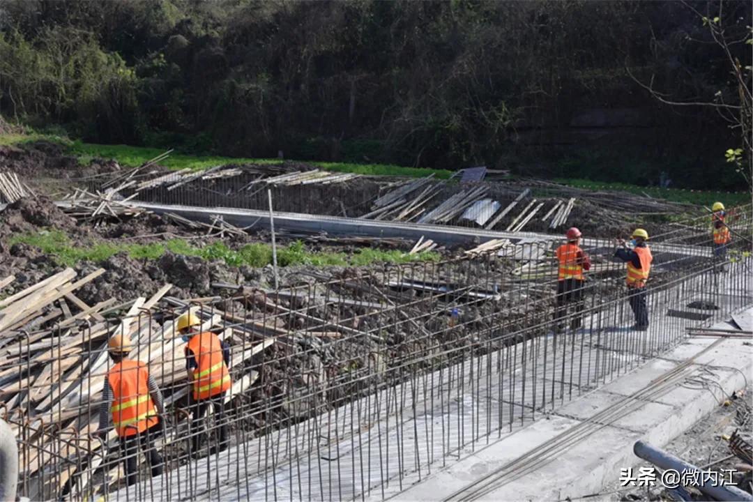 见证奇迹会发现什么,见证奇迹最新