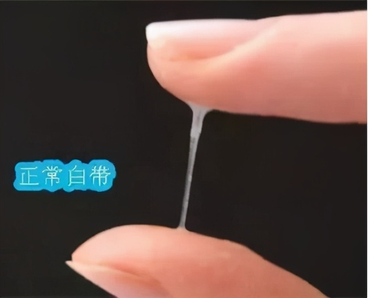 到底什么样才是好油烟机,到底什么样才是好男人