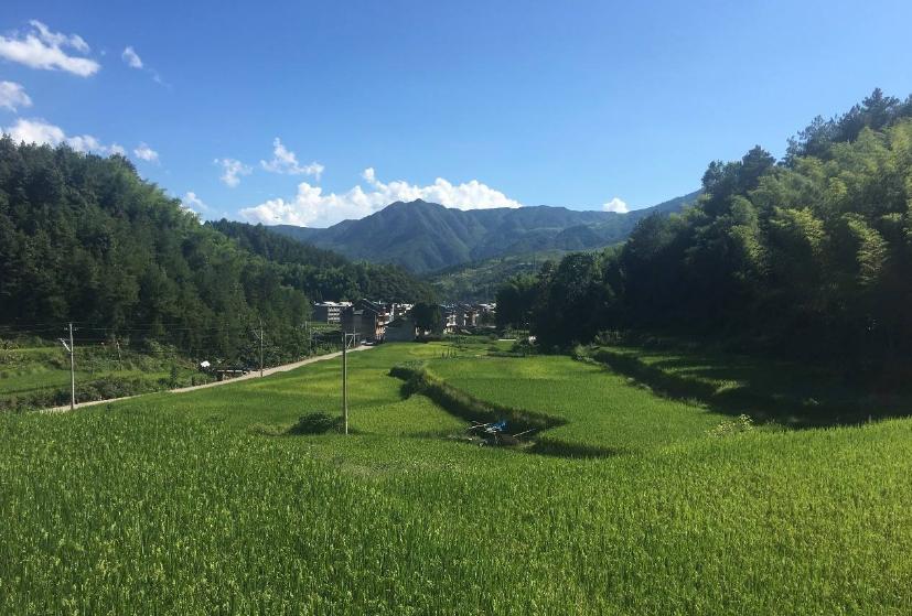 他们利用天时、地利等有利条件，走上了致富的道路