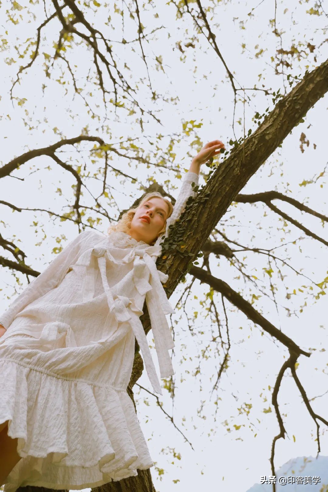 再见虾米背景音乐,再见虾米最新音乐