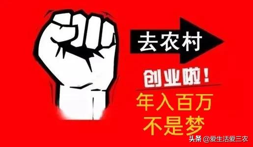 40个偏门冷门生意小生意,冷门偏门小生意很有市场前景