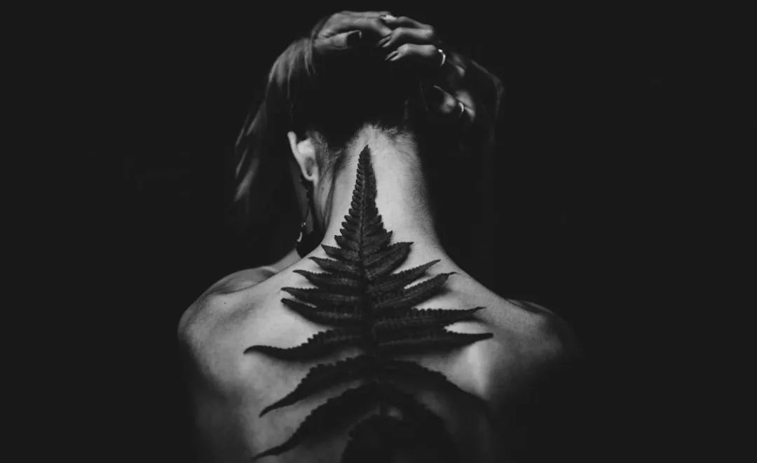 北大女生自杀事件:这场极致的冥王星操纵,只钩住了2件事