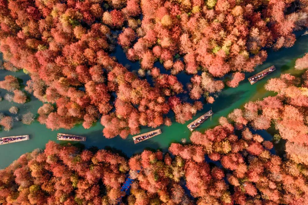 秋天的杭州自驾游,杭州秋冬自驾