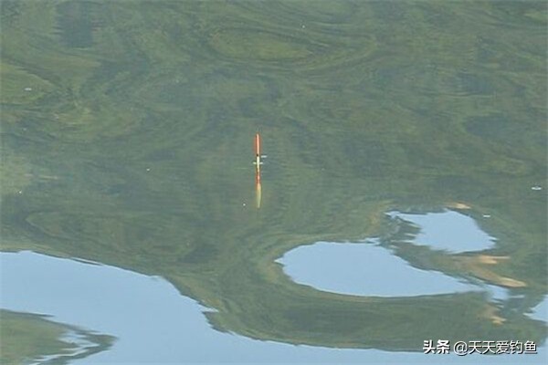 春季晴天钓鱼的技巧与方法,早春钓鱼技巧野钓鲫鱼