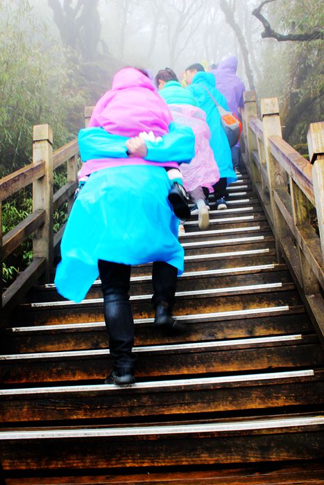 雨中的梵净山景色,烟雨梵净山