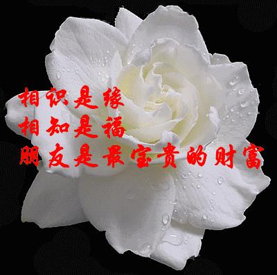 朋友早：祝你健健康康，如意环绕，幸福拥抱！