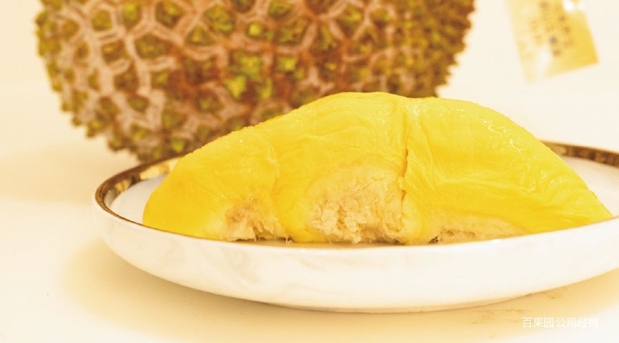 猫山王榴莲上市了吗,猫山王榴莲几月份成熟上市