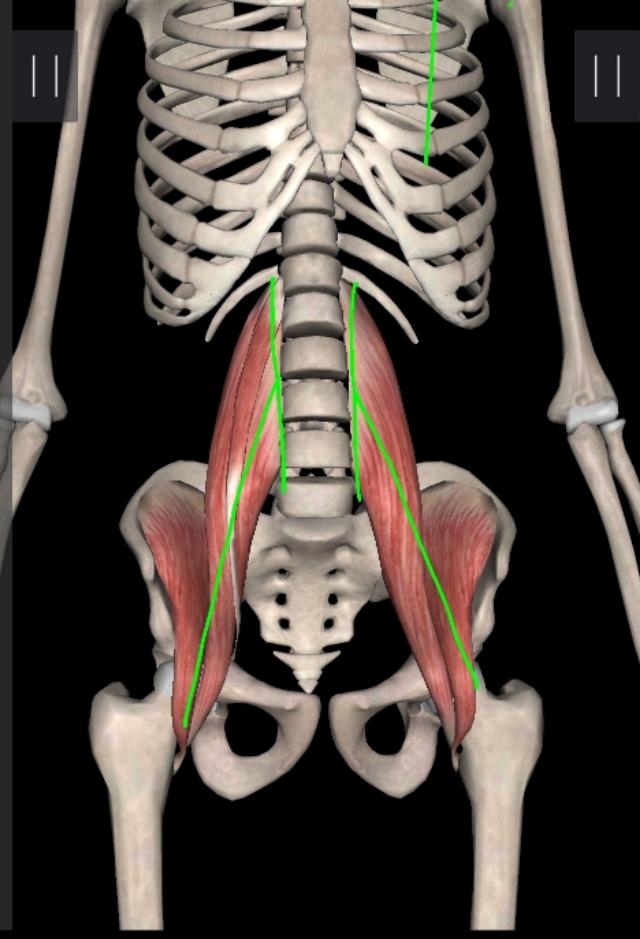 不懂健身动作练到的肌肉,锻炼髂腰肌最有效方法图解