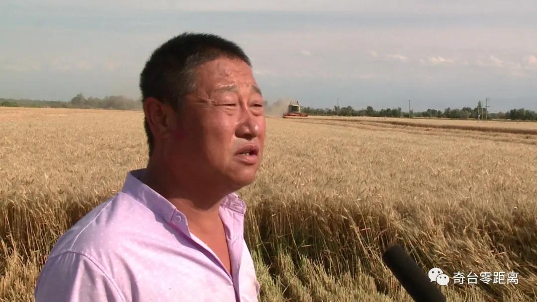 最新型无人驾驶多功能联合收割机,收草联合收割机最新型