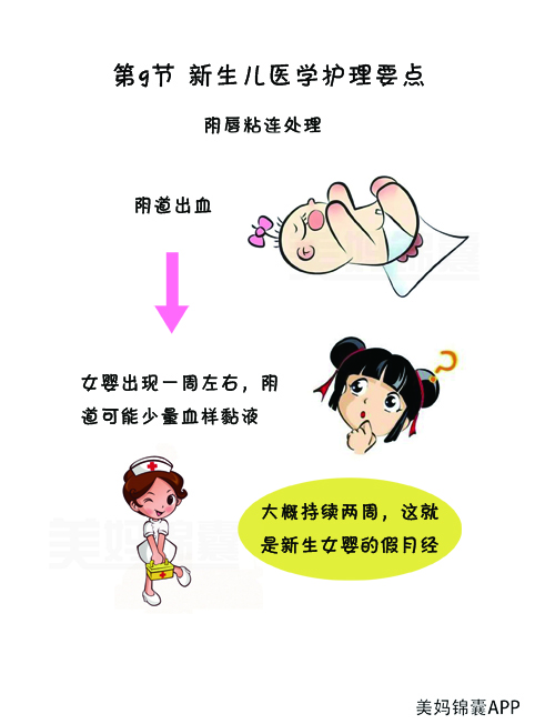 女宝宝外阴粘连怎么操作分开,宝宝外阴粘连如何分离