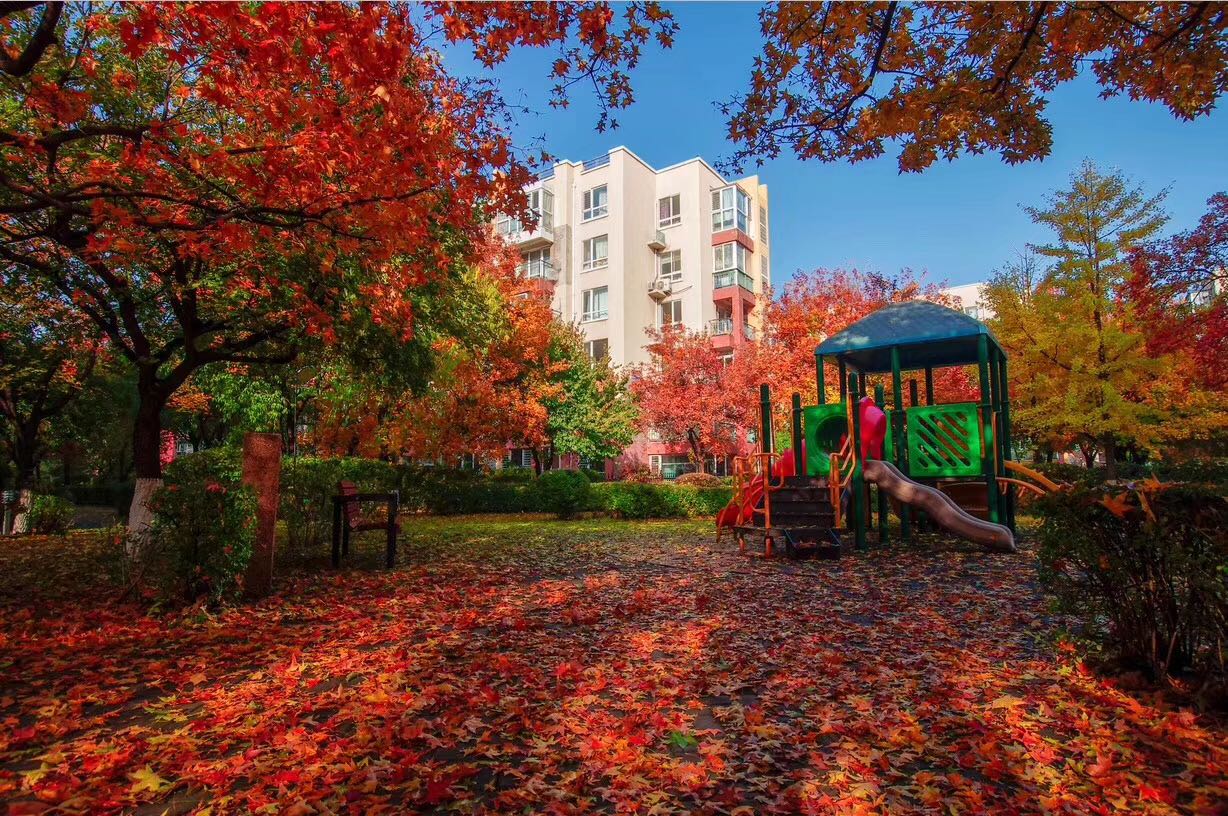 沈阳万科四季花城学区是哪,沈阳万科四季花城工程项目