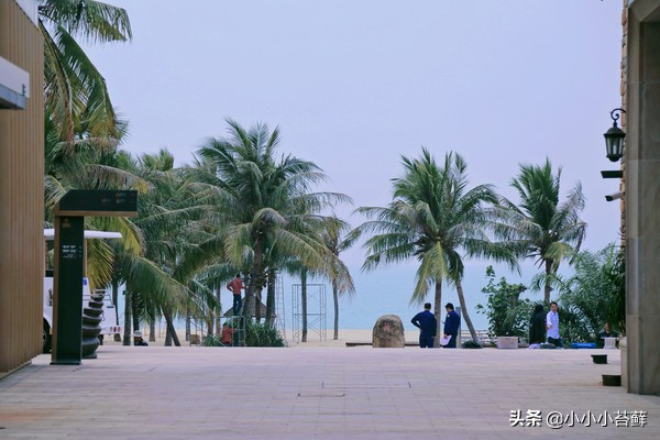 三亚吃住行,三亚自由行海边住宿攻略